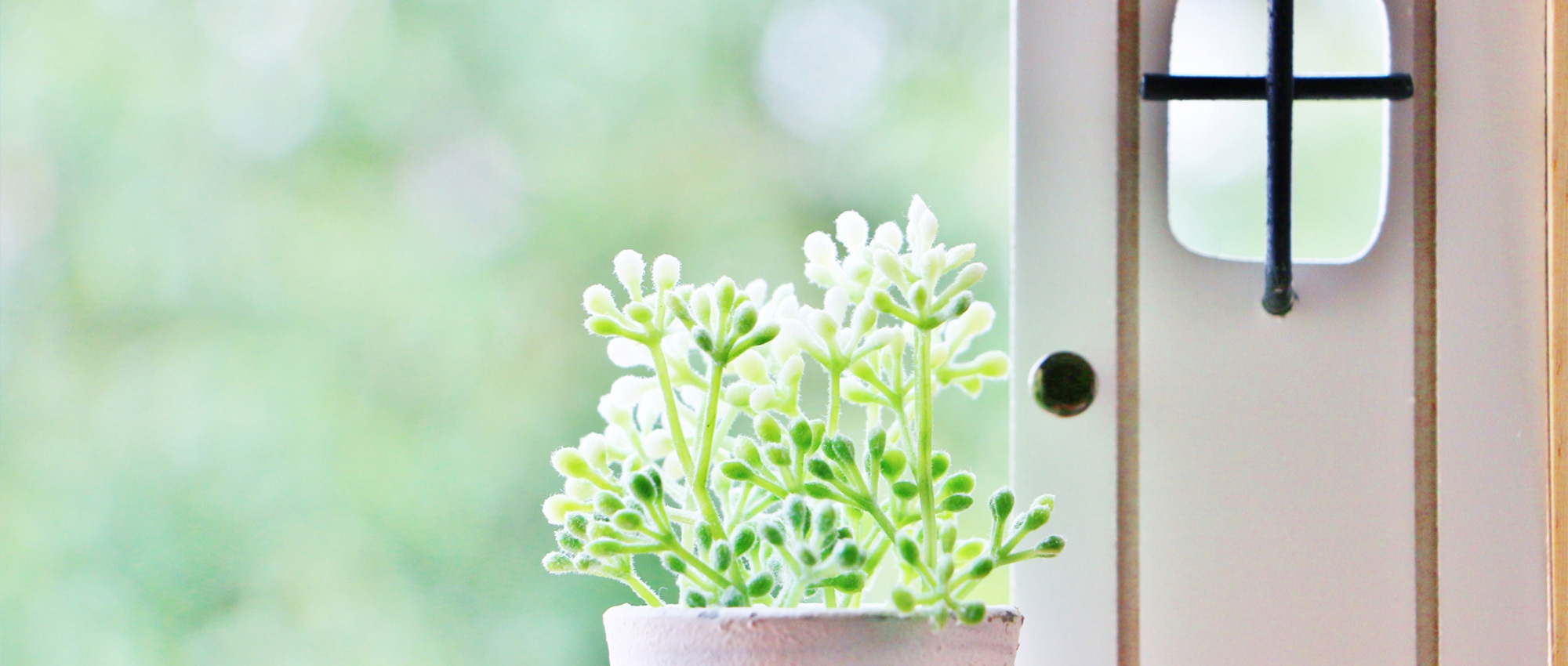 青森市浪打、調剤薬局